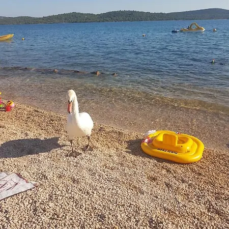 Appartamento Leona Pirovac