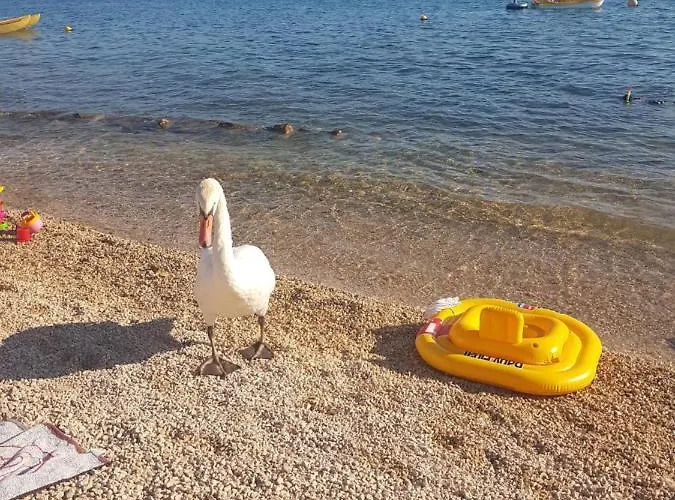 شقة Leona بيروفاتش